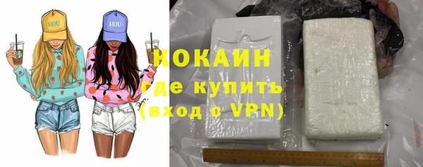 apvp Няндома