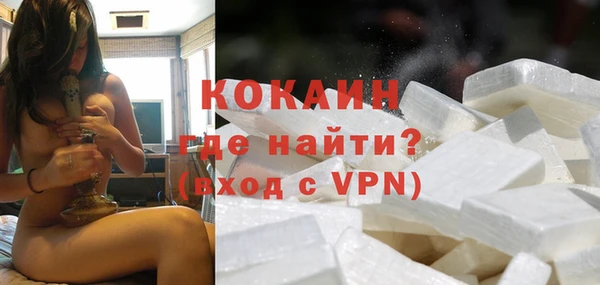 apvp Няндома