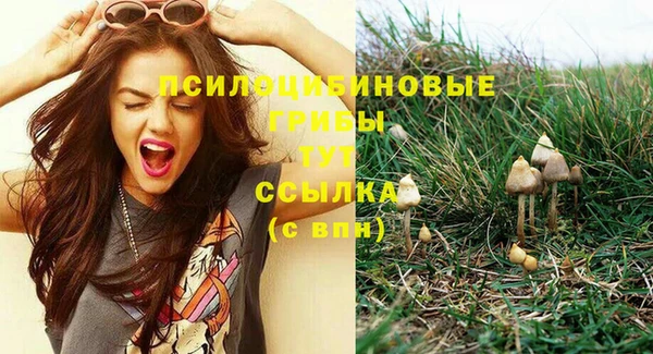таблы Нягань