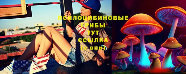 альфа пвп Нязепетровск